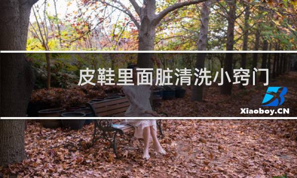 皮鞋里面脏清洗小窍门 - 皮鞋里面脏了如何清洗