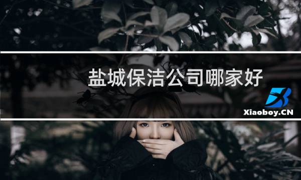 盐城保洁公司哪家好 - 盐城家政保洁深度