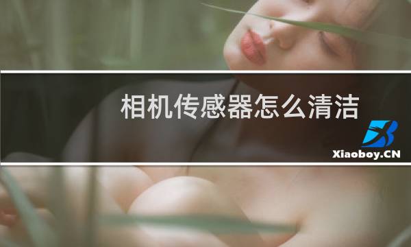 相机传感器怎么清洁 - 相机传感器可以自己清理吗