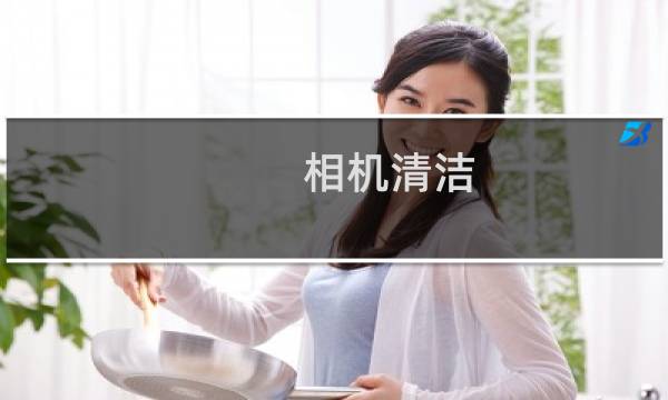 相机清洁 - 相机清洁服务