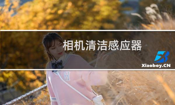 相机清洁感应器 - 佳能相机开机显示清洁感应器