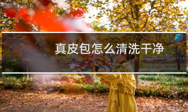 真皮包怎么清洗干净 - 真皮包用什么擦干净又亮