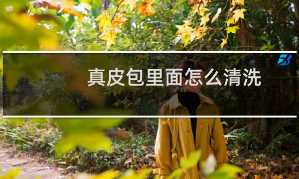 真皮包里面怎么清洗 - 真皮包里面内衬怎么清洗