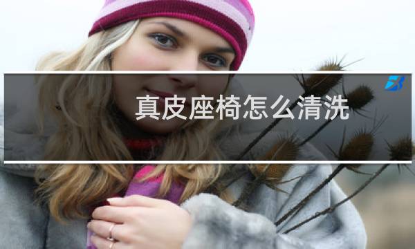 真皮座椅怎么清洗 - 真皮座椅清洗剂