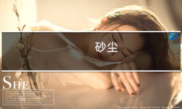 砂尘 - 沙尘试验