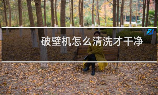 破壁机怎么清洗才干净 - 破壁机糊底清洗技巧