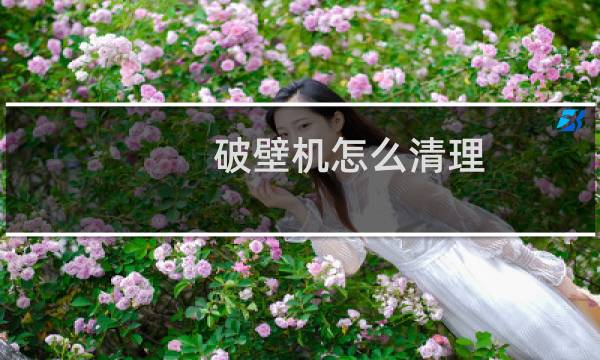 破壁机怎么清理 - 破壁机点动清洗要一直按着吗