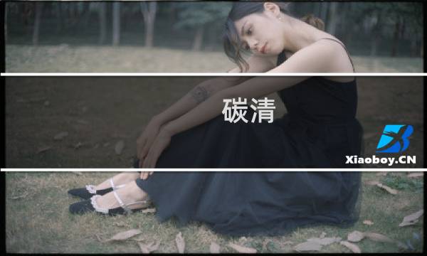 碳清 - 清炭ハリケーンC98