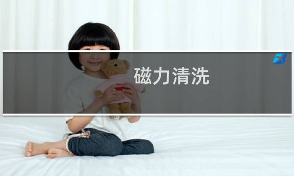磁力清洗 - 种子清洗网站