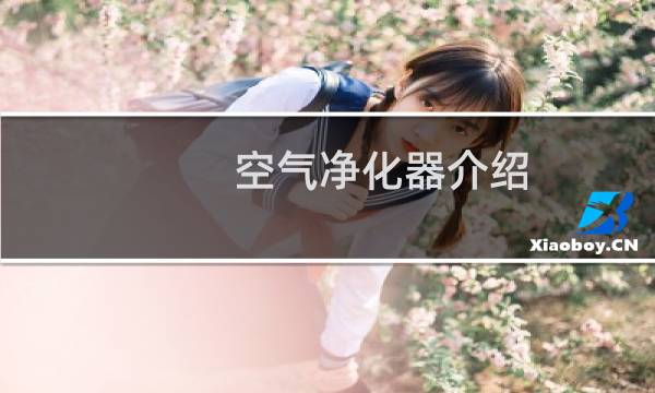 空气净化器介绍 - 空气净化器为什么能净化空气