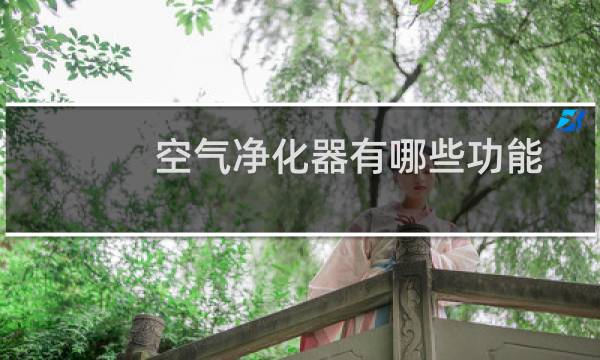 空气净化器有哪些功能 - 空气净化器lon功能