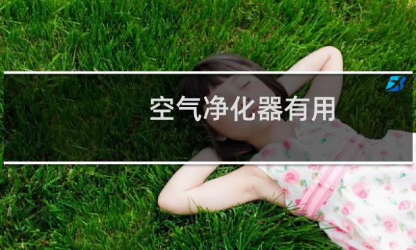 空气净化器有用 - 空气净化器用处大不大