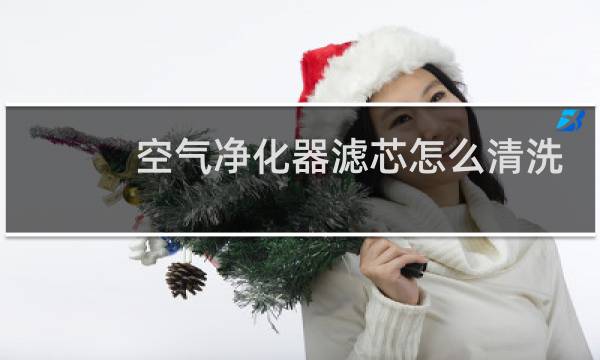 空气净化器滤芯怎么清洗 - 空气净化器滤芯骗局