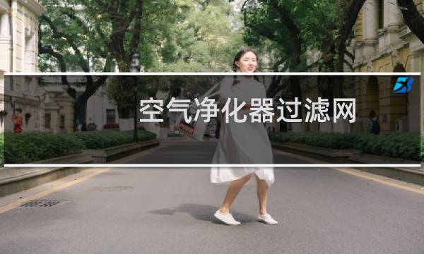 空气净化器过滤网 - 金色之花空气净化器过滤网