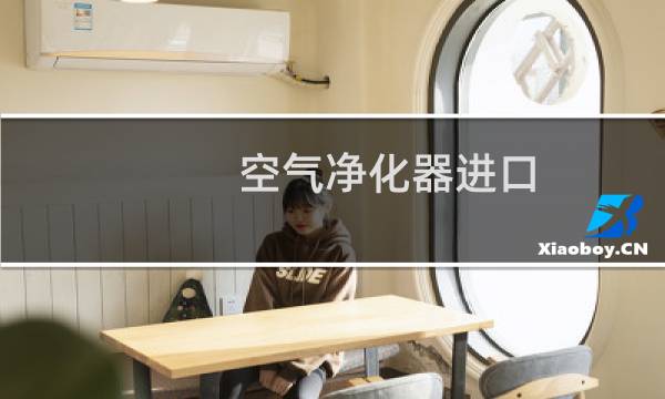 空气净化器进口 - 进口高端空气净化器