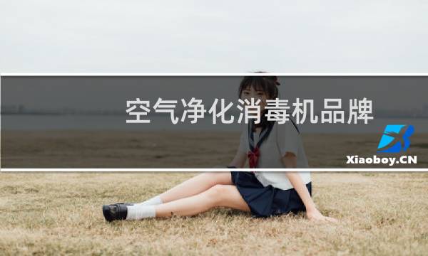 空气净化消毒机品牌 - 空气消毒机和空气净化器排名