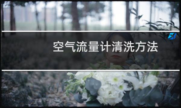 空气流量计清洗方法 - 空气流量计插头拔掉会怎么样
