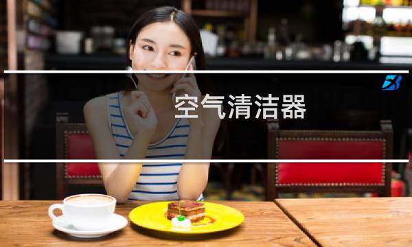 空气清洁器 - 空气净化器真实排名