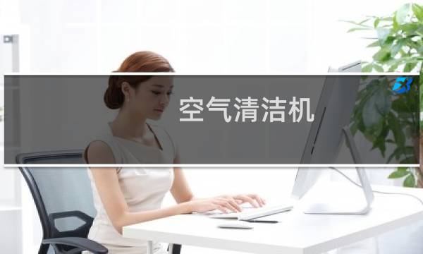 空气清洁机 - 空气清新剂
