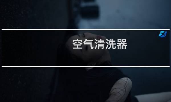 空气清洗器 - 空气清新剂