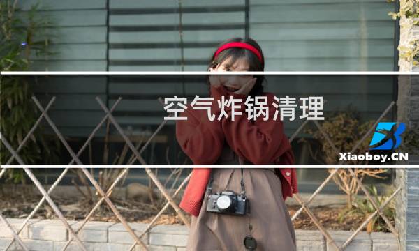 空气炸锅清理 - 空气炸锅的清洗方法图