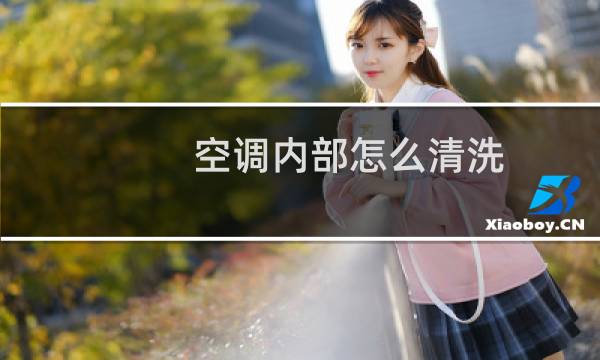 空调内部怎么清洗 - 空调怎么清洗里面
