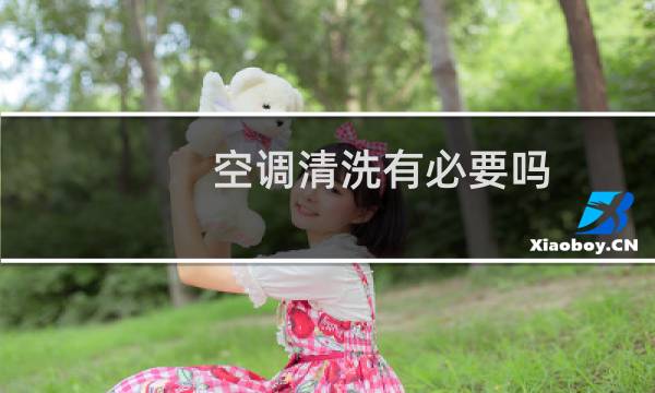 空调清洗有必要吗 - 空调洗衣机有必要清洗吗