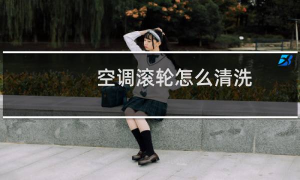 空调滚轮怎么清洗 - 空调最里面的滚轴很脏