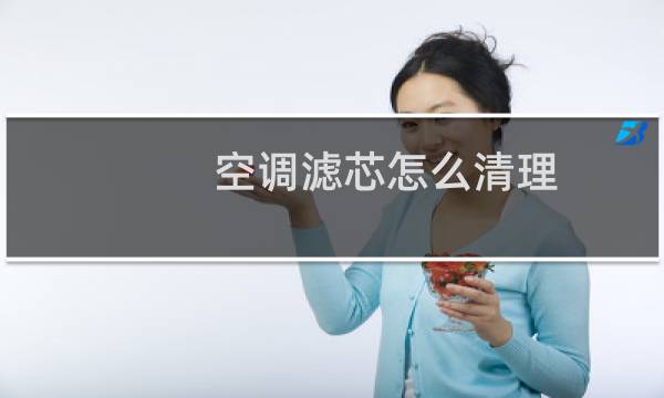 空调滤芯怎么清理 - 空气滤芯两年没换了但是不脏