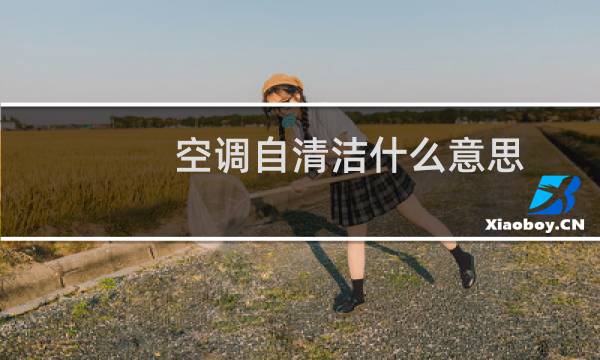 空调自清洁什么意思 - 空调自清洁是什么