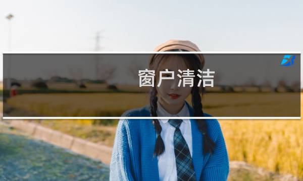 窗户清洁 - 如何快速清洁窗户