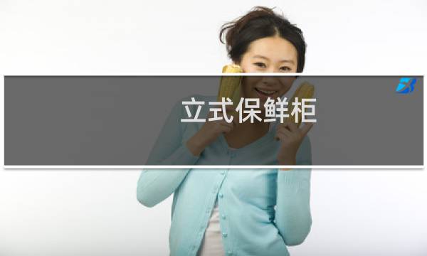 立式保鲜柜 - 40立式保鲜柜