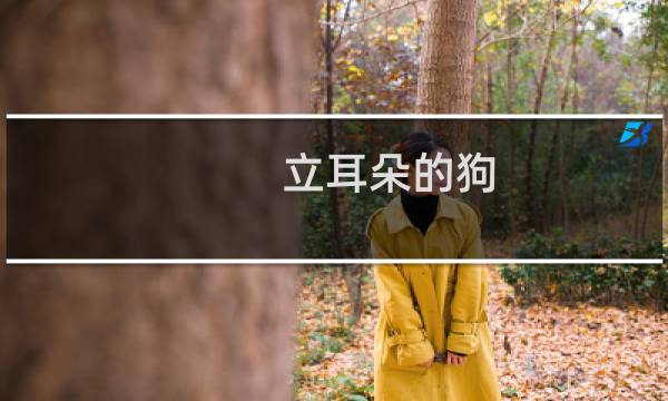 立耳朵的狗 - 立耳朵的狗狗品种图片