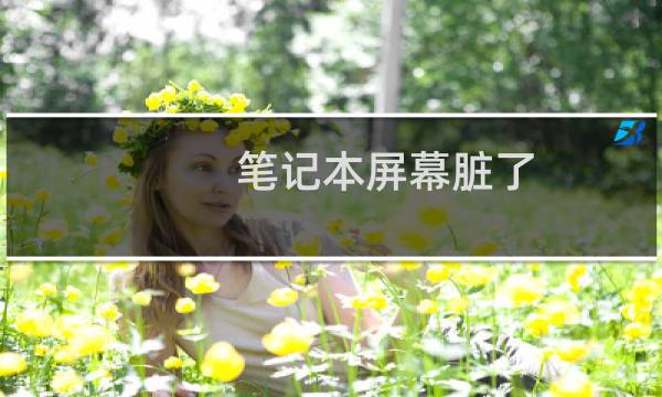 笔记本屏幕脏了 - 笔记本屏幕千万不要擦