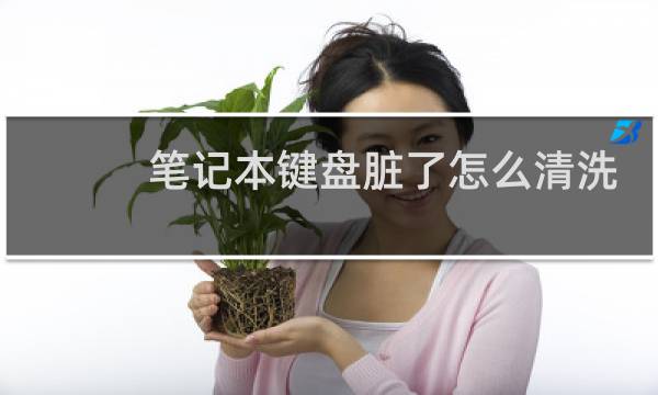 笔记本键盘脏了怎么清洗 - 笔记本键盘上的油污怎么清理
