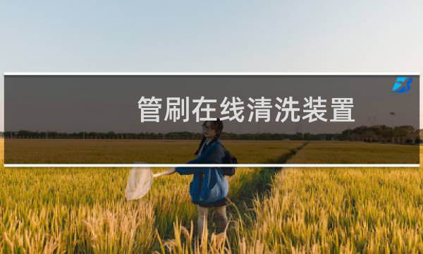 管刷在线清洗装置 - 全自动管刷在线清洗系统