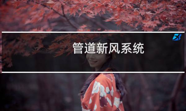 管道新风系统 - 无窗阁楼新风系统