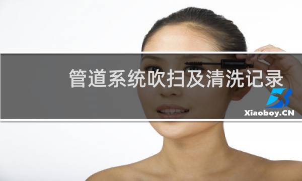 管道系统吹扫及清洗记录 - 管道系统吹扫与清洗检查记录