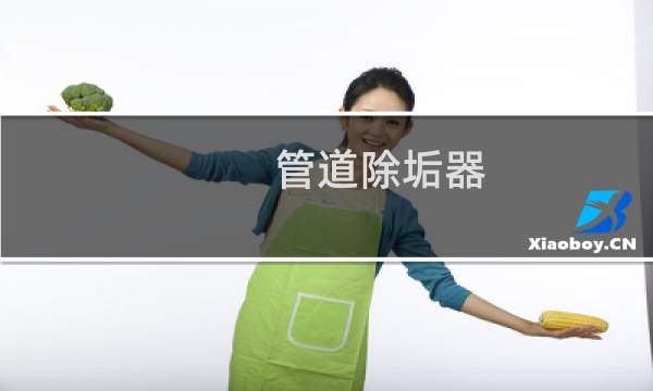 管道除垢器 - 管道除垢设备