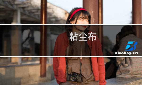 粘尘布 - 粘尘布的作用