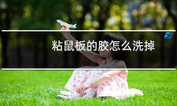 粘鼠板的胶怎么洗掉 - 衣服粘上粘鼠板的胶怎么清洗