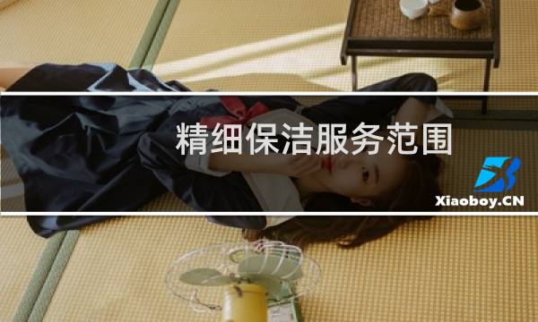 精细保洁服务范围 - 家庭精细保洁服务范围