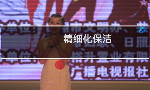 精细化保洁 - 保洁精细化管理范文