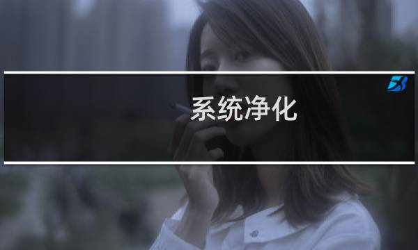 系统净化 - kingroot净化大师下载