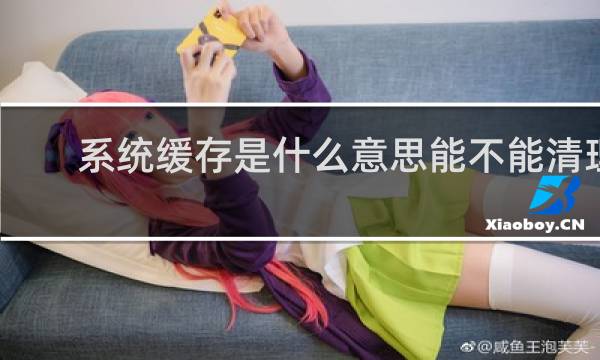 系统缓存是什么意思能不能清理 - 系统缓存和应用缓存的区别