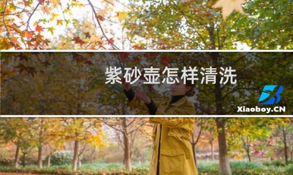 紫砂壶怎样清洗 - 紫砂壶脏了怎么清洗