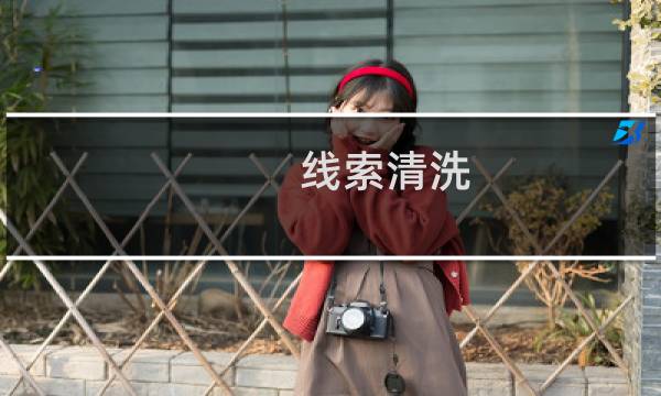 线索清洗 - 问题线索情况汇报报告
