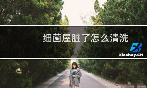 细菌屋脏了怎么清洗 - 怎样辨别细菌屋是否该清洗了