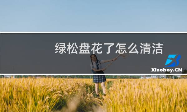 绿松盘花了怎么清洁 - 绿松石盘花了图片