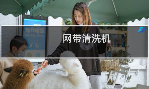 网带清洗机 - 网带清洗设备